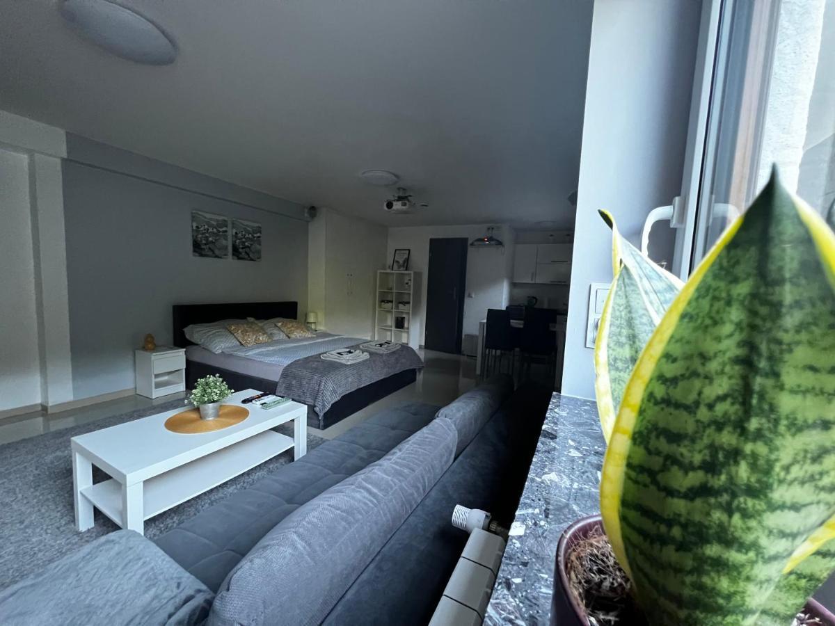 Apartament Play Pietrzykowice  Екстериор снимка